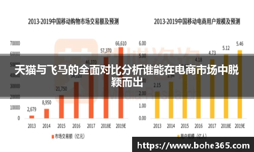 天猫与飞马的全面对比分析谁能在电商市场中脱颖而出